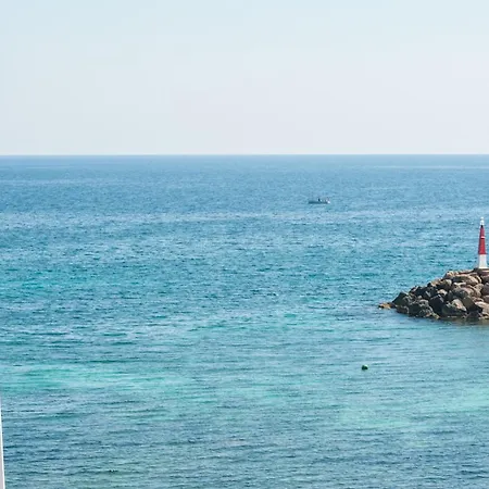 Pascucan * Port de Alcudia (Mallorca)